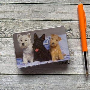 Complete speelkaarten voor honden, nieuw in plastic. Nooit gebruikt. Geweldig cadeau.