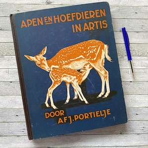 Libro de colección de tarjetas Antiguos simios y ungulados en holandés Verkade Álbum ilustrado con tarjetas de colección Libro antiguo 1940 Thijsse
