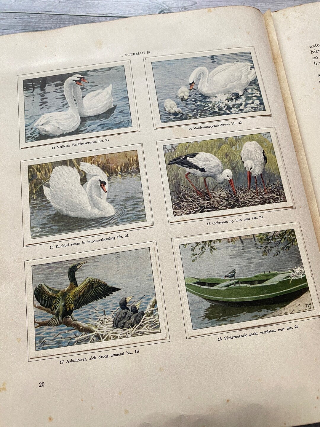 オランダ Verkadeカードブック 1939年 アルティス動物園の動物達 1939 Animal Life in Artis Zoo Dutch Verkade Album