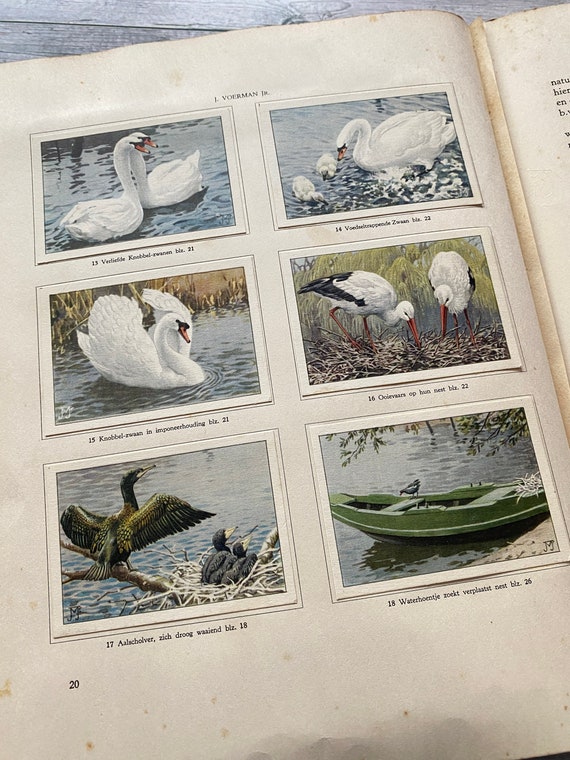 オランダ Verkadeカードブック 1939年 アルティス動物園の動物達 1939 Animal Life in Artis Zoo Dutch Verkade Album