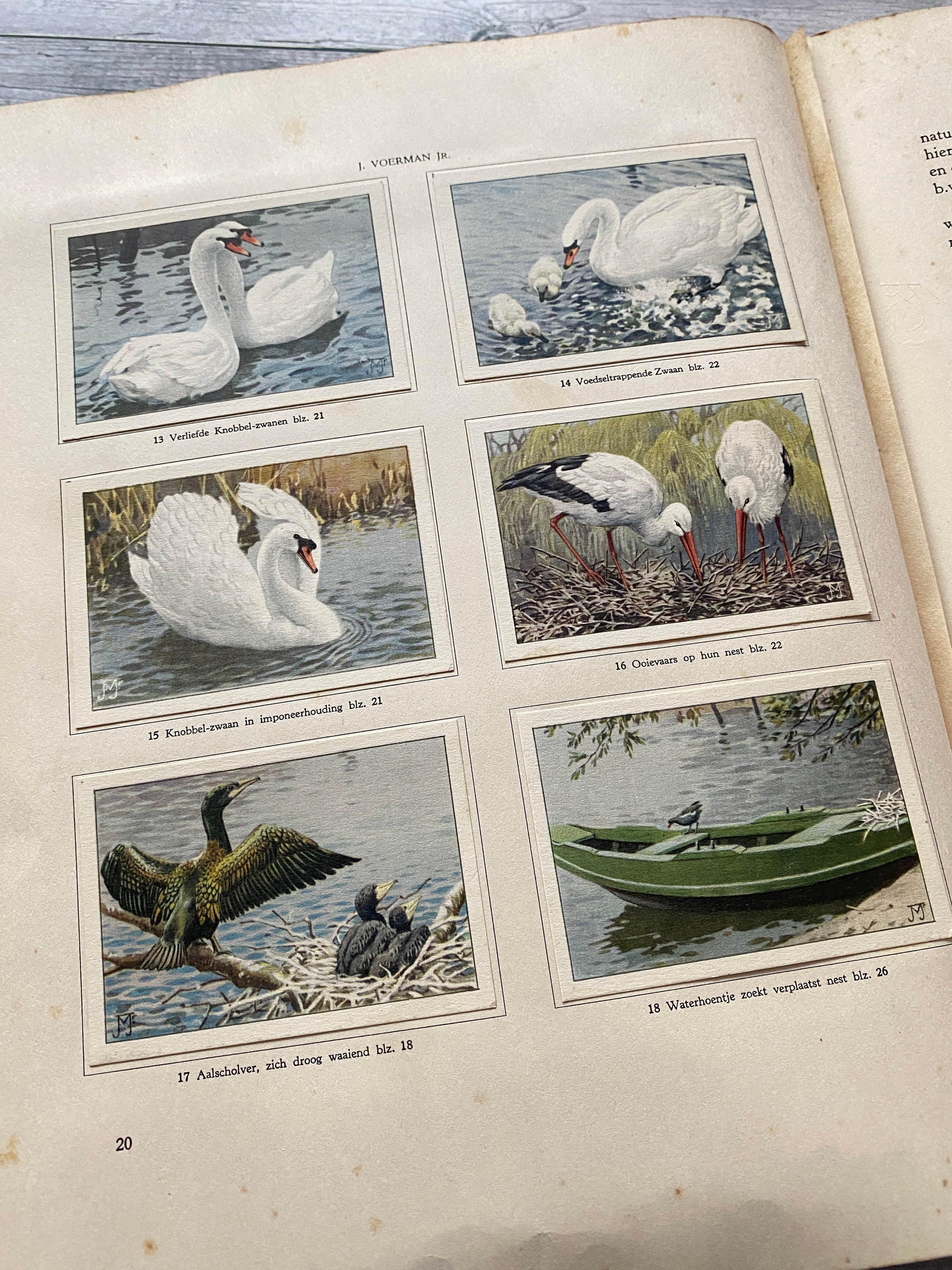 Antique 1939 VERKADE Album Animal Life in 
