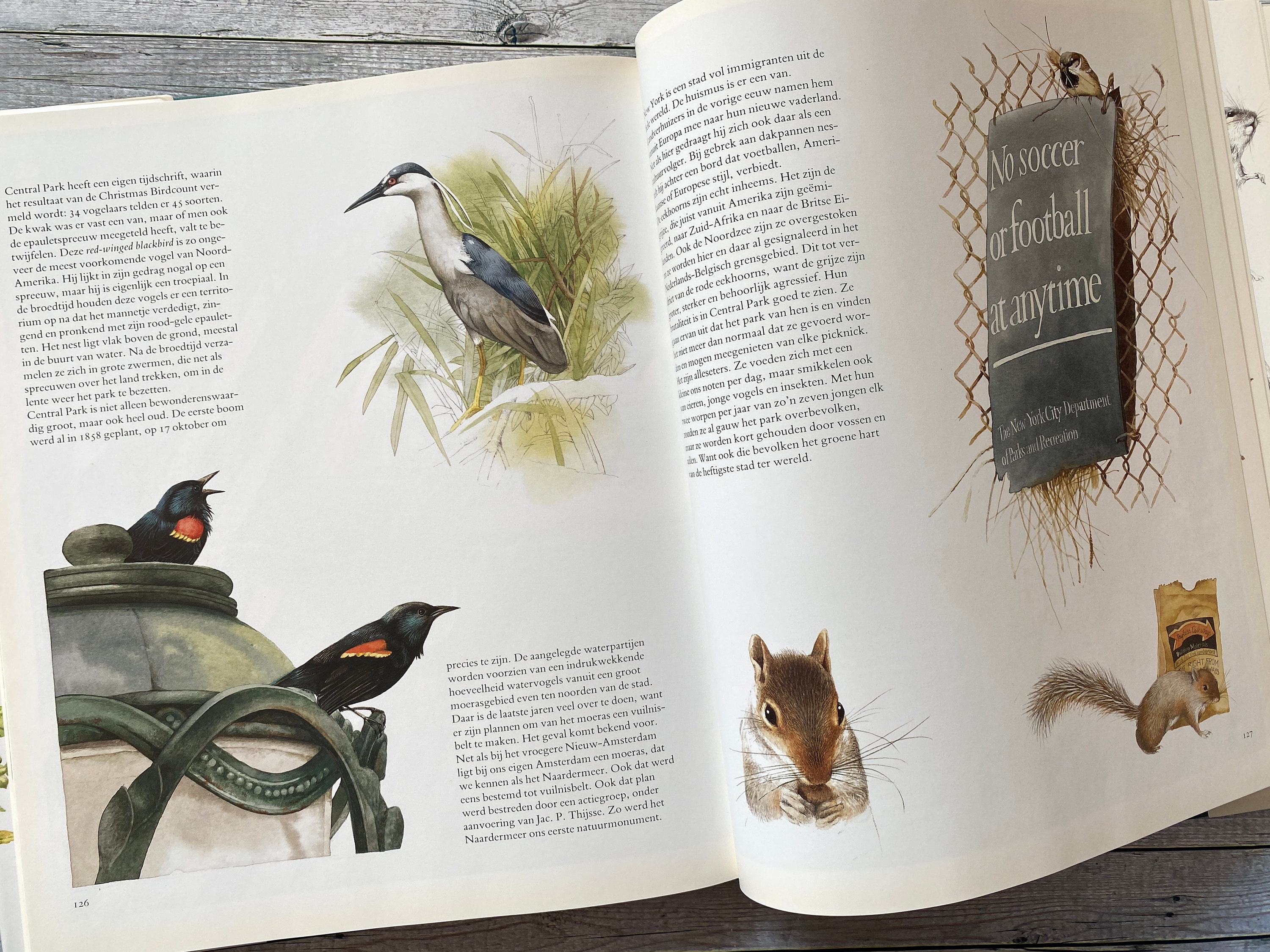 Marjolein Bastin, Nature Book, Extreem Large, Our Living Landscape, Frans  Buissink, Hardcover With Dustjacket. Great Condition. - Etsy, image size:3000x2250