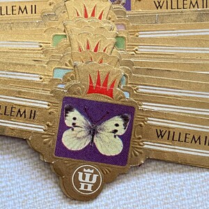 215 piccole fascette per sigari a forma di farfalla, effimere di ottima qualità, fascette colorate Willem II, set completo di fascette per sigari, effimere a forma di farfalla