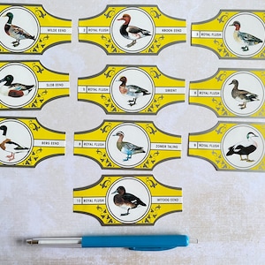 10 anillas completas vintage Ducks, color real, con patos. Varios colores.