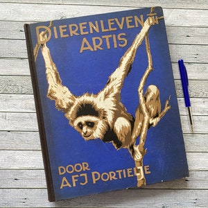 1939 Vida animal en el zoológico Artis Álbum holandés Verkade Ilustraciones, libro antiguo, con tarjetas coleccionables Thijsse