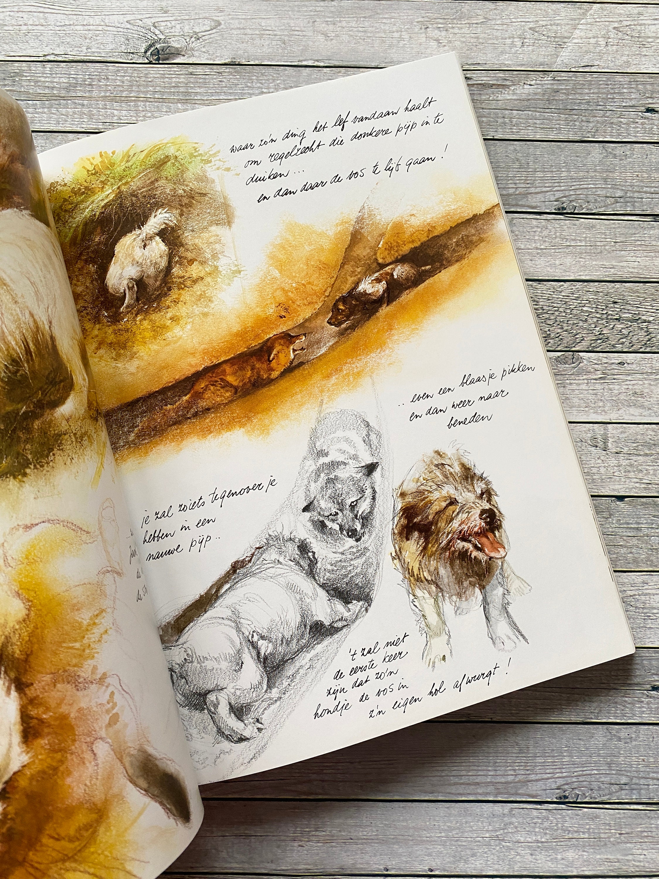 Rien Poortvliet Dog Book: Dutch Language, Delightful Images. Braaf
