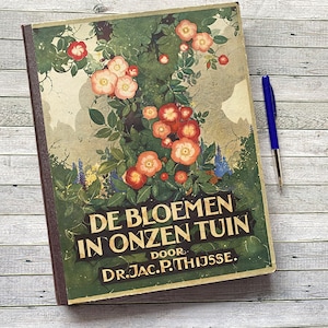 I fiori nel nostro giardino, olandese, Verkade, album, libro illustrato, illustrazioni, libro d'epoca, con immagini, 1926, vintage, Thijsse, cartoline,