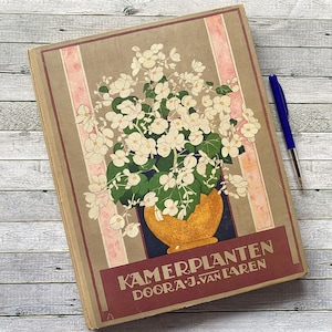 1928, plantes d'intérieur, néerlandais, Verkade, album, dessiné, dessin, illustrations, livre vintage, cartes illustrées, livre de 1928, vintage, plantes,