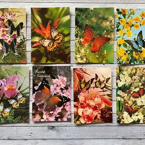 8 postales de mariposas Postales holandesas con mariposas, postales vintage con temática de naturaleza
