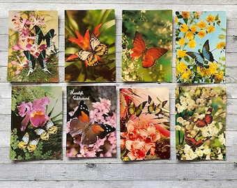 8 butterfly postcards Dutch postcards with butterflies