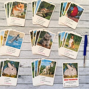 32 carte, vintage, gioco a quartetto. Ha un tema naturalistico. Tutte le immagini raffigurano un animale unico, olandese, snalis, tamia.