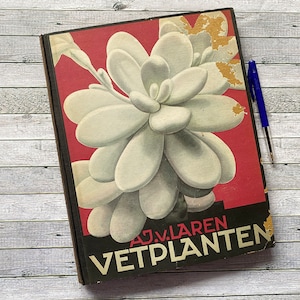 Libro de suculentas de 1932. Edición en holandés, con magníficas ilustraciones en tarjetas de colección.