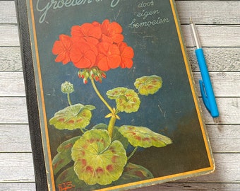 Growing and flowering, Dutch, antique, album, drawing, Illustrations, vintage book, with pictures, 1935 book, vintage, collectible