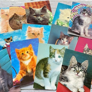 Réapprovisionnement : lot de 8, vintage, hollandaises, cartes postales, avec des chats, des chatons, des années 1970, cartes postales, carte postale vintage, animaux, produit réel, chaton,