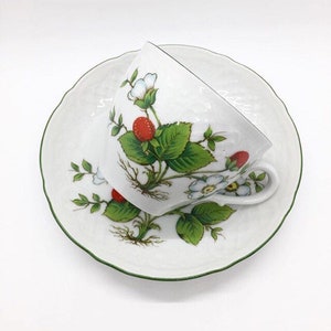 Vintage Bavaria Schumann Wild Strawberry Tea Cup & Saucer, Arzberg Germany, #38