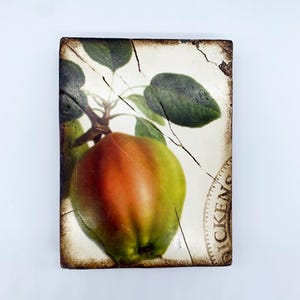 Sid Dickens Canada T-131 Aphrodite&#39;s Apple Retired Memory Block, Handcrafted Collectible Wall Art, Heavy