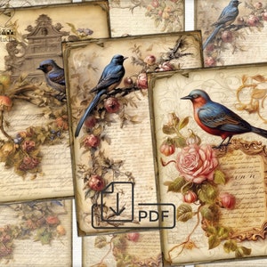 Victorian birds Collage Digital picture printables cards Atc ACEO