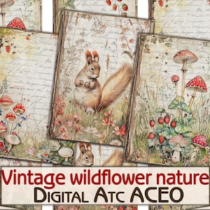 Vintage primavera flores silvestres natureza colagem digital imagem cartões imprimíveis Atc ACEO