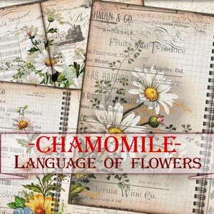 May include: A collage of vintage-style notebooks with floral and botanical illustrations, including daisies and other flowers. The notebooks have spiral bindings and feature aged paper textures. Text on the image reads "CHAMOMILE - LANGUAGE OF FLOWERS."