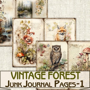 May include: Vintage forest themed junk journal pages with images of mushrooms, a fox, an owl, and flowers. The pages are printed on aged paper with a distressed look.