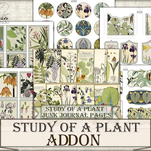 Vintage Botanical junk journal Pages,picture collage Study of a plant ADDON