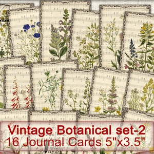 Vintage botanische kaarten set-2, digitale collage blad bloemen, ongewenste Journal Ephemera