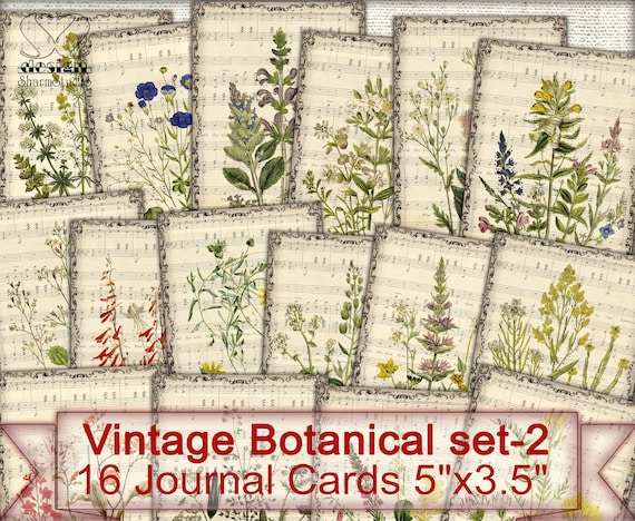 Vintage Botanical cards set-2, Digital Collage Sheet Flowers,Junk Journal Ephemera