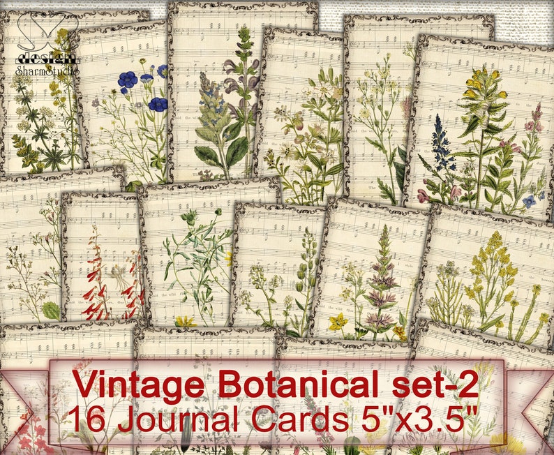 May include: Set of 16 vintage botanical journal cards featuring illustrations of various flowers and plants on a music sheet background. Each card measures 5 inches by 3.5 inches.