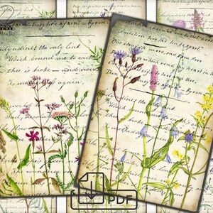Vintage junk journal botanical ephemera Shabby Floral  Digital Paper