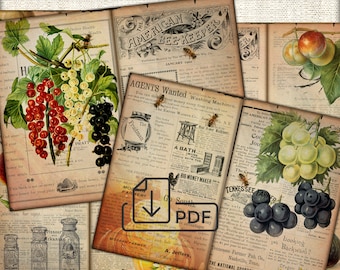 Junk Journal afdrukbare collagepagina's blad, vintage honingfruit