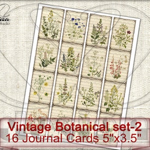 May include: Set of 16 vintage botanical journal cards featuring various floral illustrations. Each card measures 5 inches by 3.5 inches.