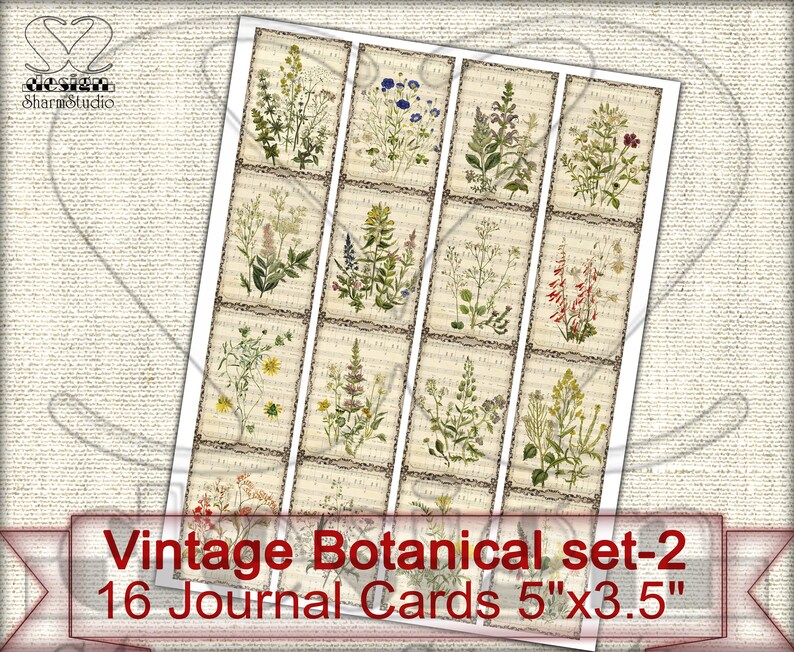 May include: Set of 16 vintage botanical journal cards featuring various floral illustrations. Each card measures 5 inches by 3.5 inches.