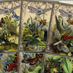 Vintage Insekten Schmetterlinge Karte,Schmetterling Journal,collage druckbare Karten Atc ACEO