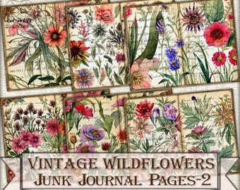 vintage Botanical Wildflowers junk journal Pages-2, collage d’images, téléchargement de feuille numérique