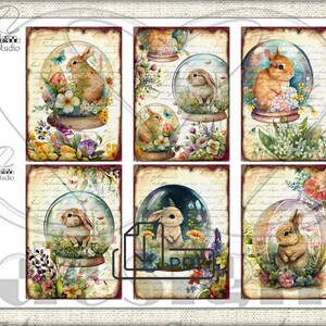 Peut inclure: Six illustrations de style vintage de lapins &agrave; l'int&eacute;rieur de globes &agrave; neige en verre. Chaque globe est entour&eacute; de fleurs color&eacute;es et de verdure. L'arri&egrave;re-plan est une lettre manuscrite d&eacute;lav&eacute;e.