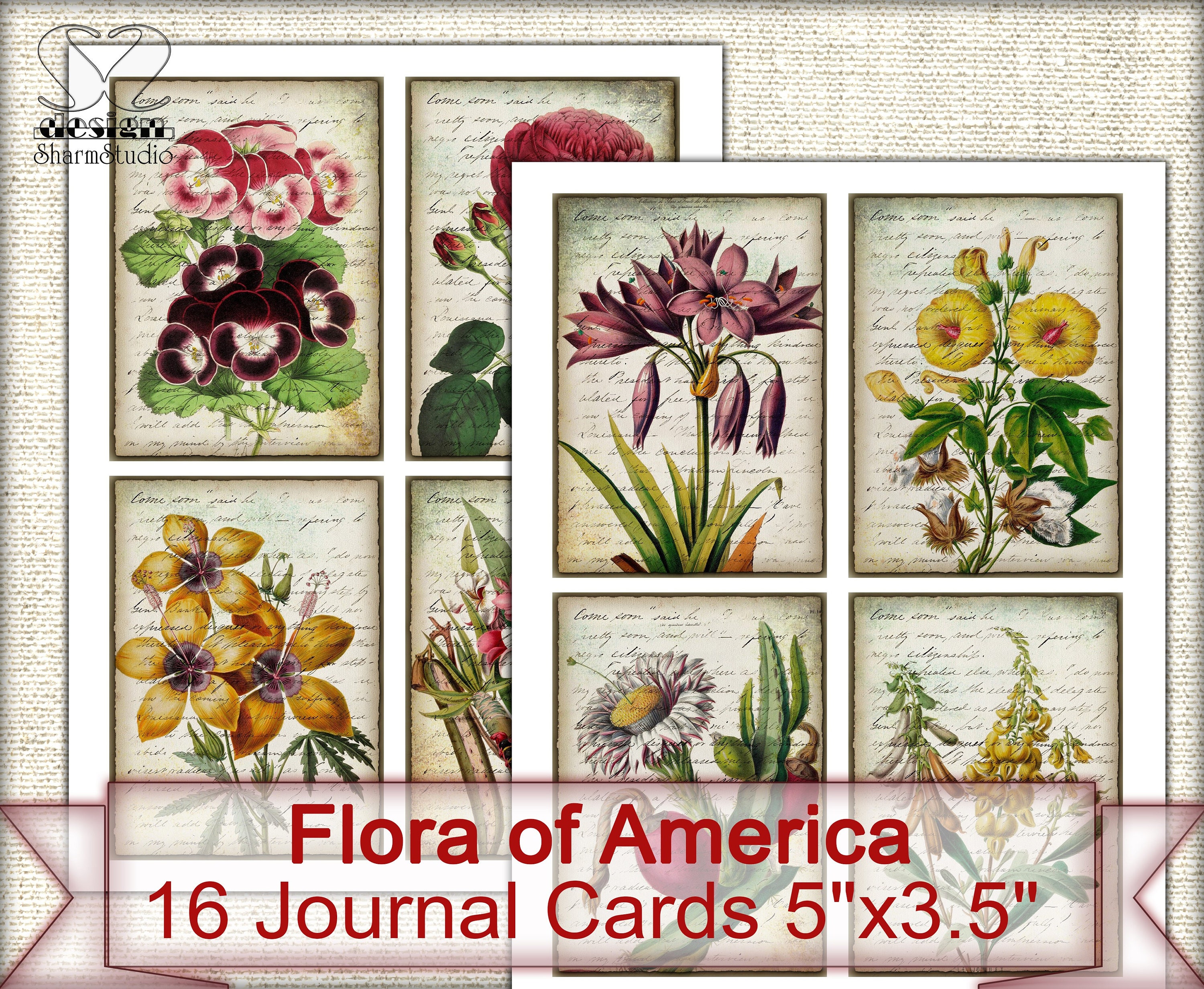 Vintage Botanical Cards Set,digital Collage Sheet,flora of America - Etsy