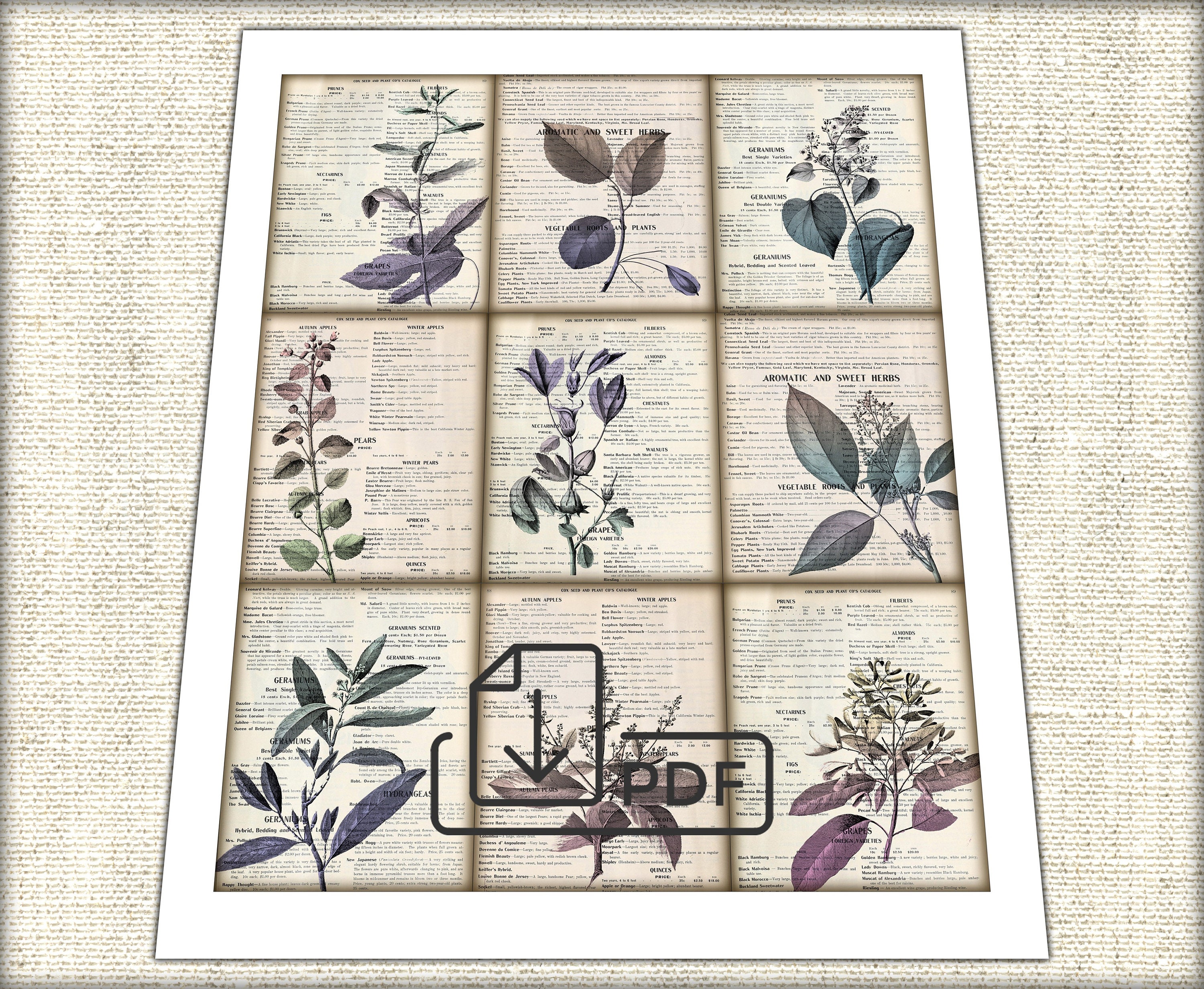 Vintage Botanical Junk Journal Ephemera Digital Collage - Etsy