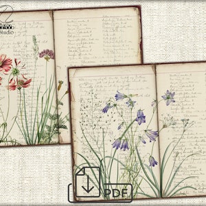 Vintage Botanical Wildflowers junk journal Pages,picture collage,Digital Sheet Download image 2