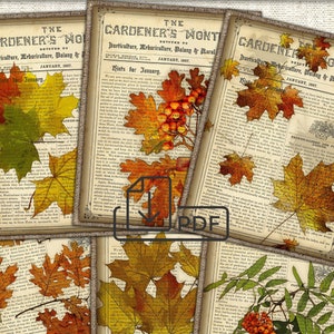 Fall Junk Journal Vintage Ephemera,Collage Sheet Download
