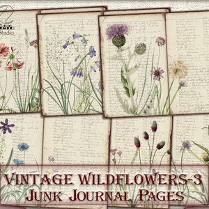 Pages de journal indésirable vintage de fleurs sauvages botaniques, collage de photos, feuille numérique à télécharger