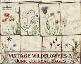 Vintage Botanical Wildflowers junk journal Pages,picture collage,Digital Sheet Download