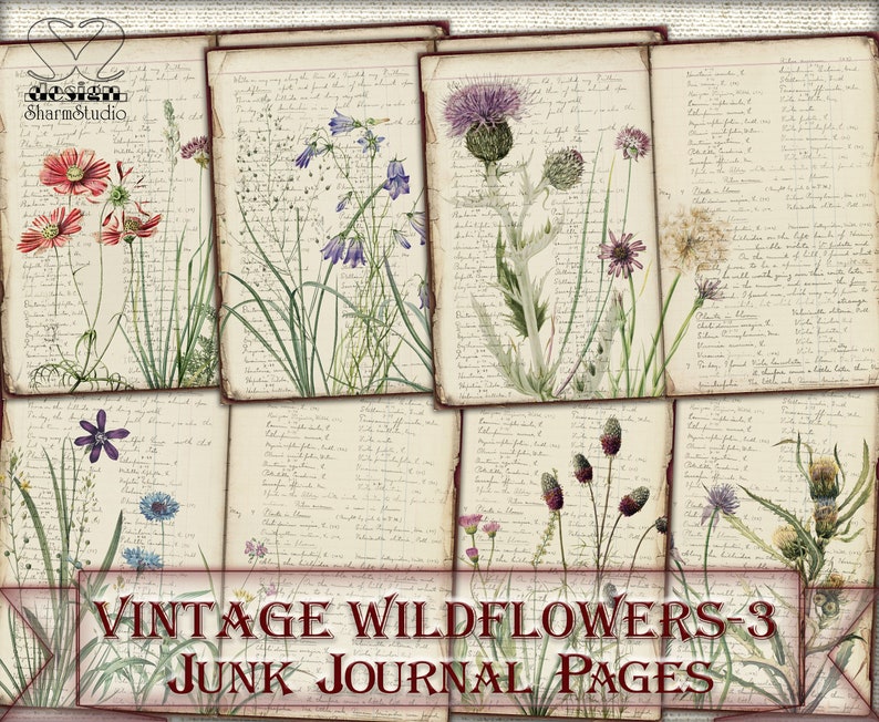 Vintage Botanical Wildflowers junk journal Pages,picture collage,Digital Sheet Download image 1