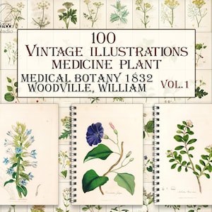 Vintage Medicinal botany plants,botanical pages,herbal plant,Medical botany-1 illustrations