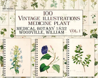 Vintage Medicinal botany plants,botanical pages,herbal plant,Medical botany-1 illustrations