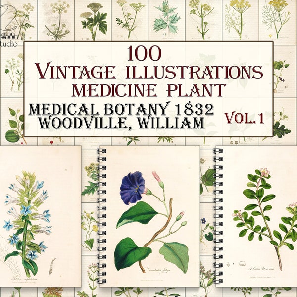 Vintage Medicinal botany plants,botanical pages,herbal plant,Medical botany-1 illustrations