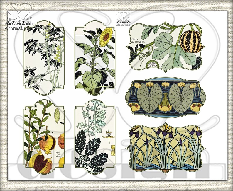 Vintage Botanische Junk-Journal-Seiten, Bildcollage Studie einer Pflanze ADDON Bild 5