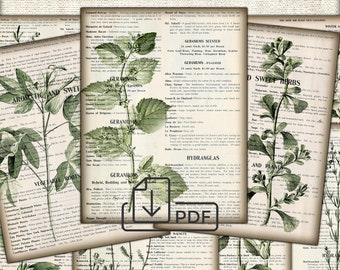 Vintage Botanical Junk Journal Ephemera - Digital Collage Sheet Download