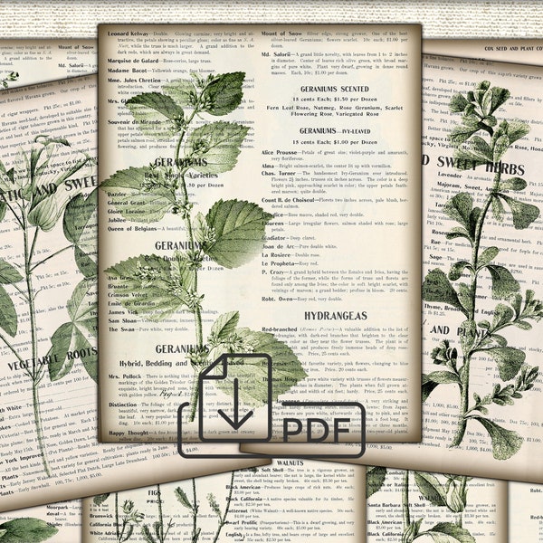 Vintage Botanical Junk Journal Ephemera - Digital Collage Sheet Download