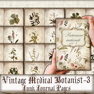 Botânica medicinal vintage-3 páginas de lixo eletrônico, plantas herbais Download instantâneo