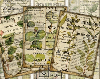 Vintage bladeren Botanische Junk Journal Ephemera - Digitale collageblad downloaden